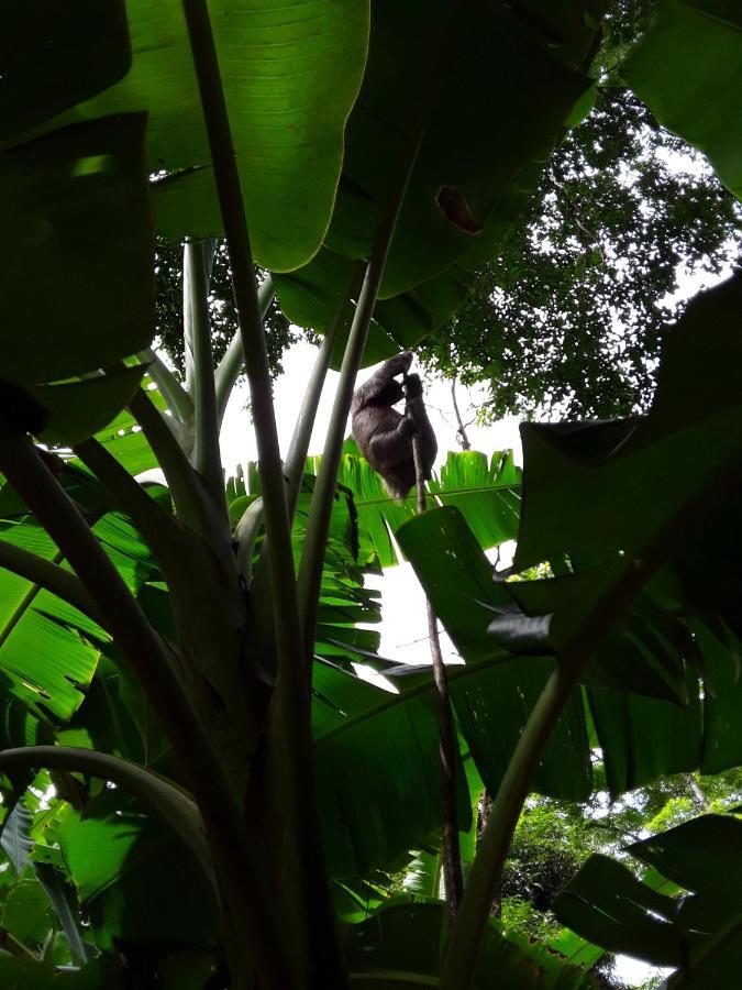 El Toucan Loco Floating Lodges Tierra Oscura Exterior foto